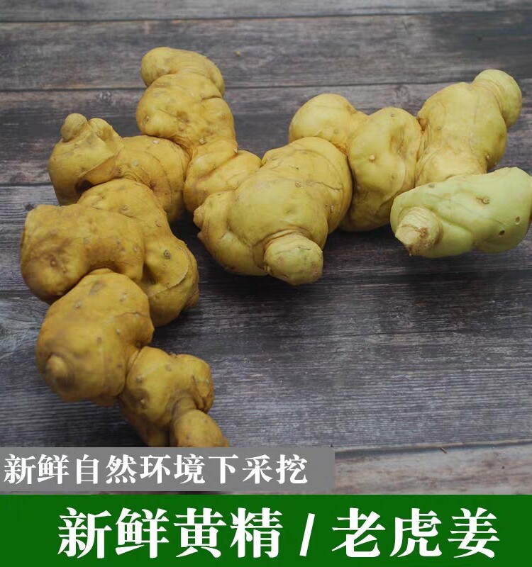 黄精云南新鲜野生鸡头老虎姜土灵芝泡酒煲汤黄精