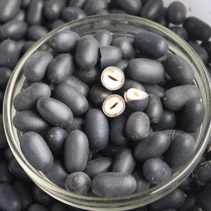 野生双肾500g树肾宝龙龙凤籽益生子送阴阳子其他药食同源食品