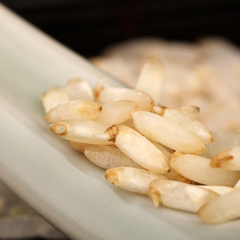 米粒有机搭配婴儿宝宝辅食五常稻花花香胚芽大米