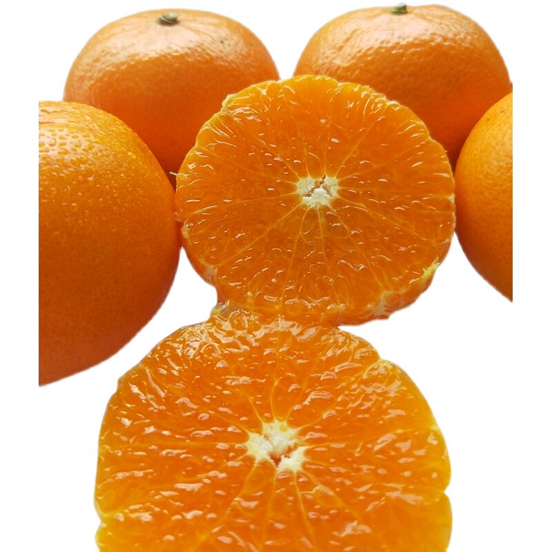 顺丰桔子当季现发现摘薄皮甜大鲜纯包邮新鲜纯桔子