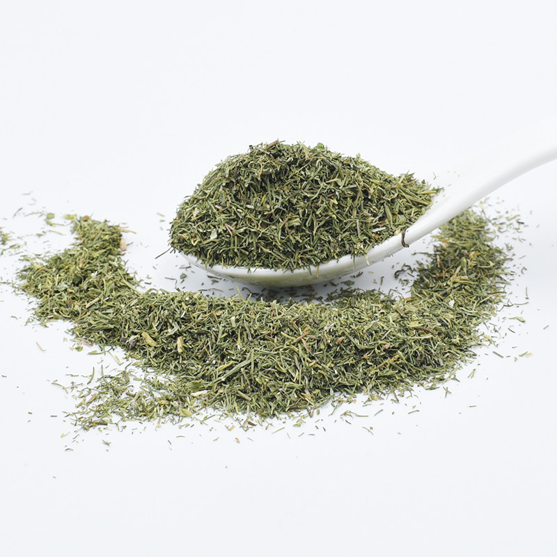 莳萝时罗dill西餐香草草料三文鱼沙拉牛排意面香辛料