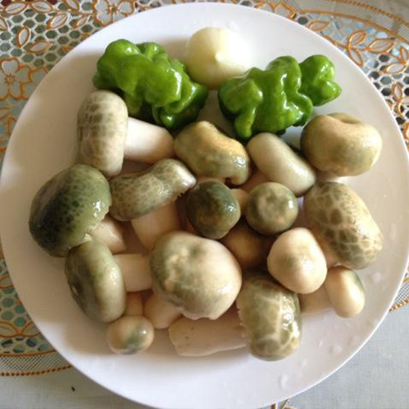 新鲜头菌野生绿豆青冈菌绿蘑菇蘑菇云云南绿头新鲜松茸