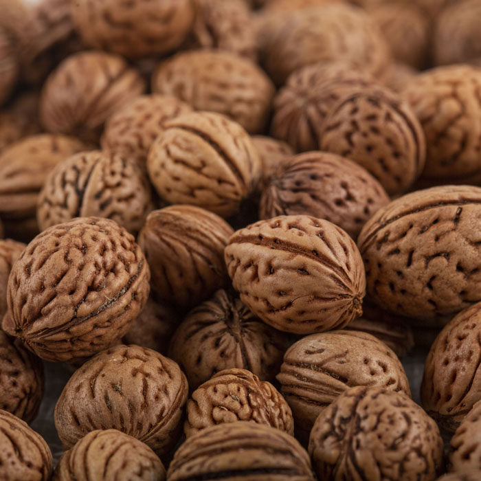 桃核原料野生小桃胡桃核枕头斤散颈椎枕山雕刻菩提