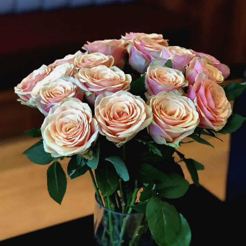 迪威威娜玫瑰鲜花复古色系稀有品种昆明明基鲜花速递同城