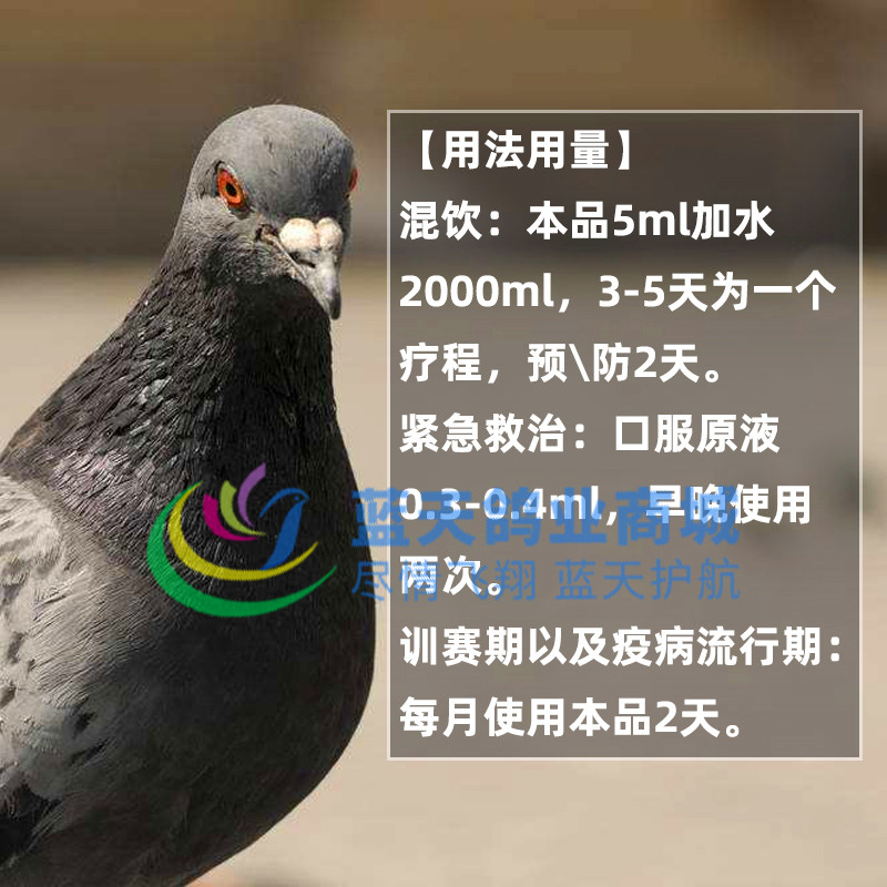 格莱德鸽药黑药水抗病毒鸽瘟新城疫腺病毒流感鸽子痘药大全常见病