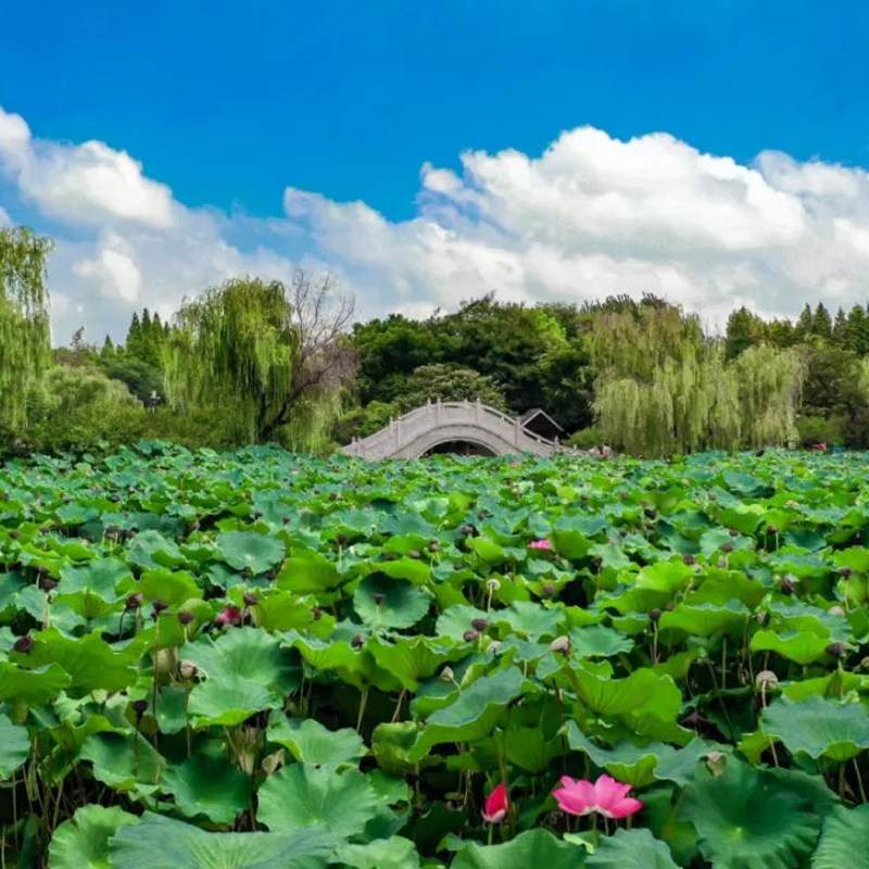[茱萸湾-大门票]扬州茱萸湾风景区(扬州动物园)