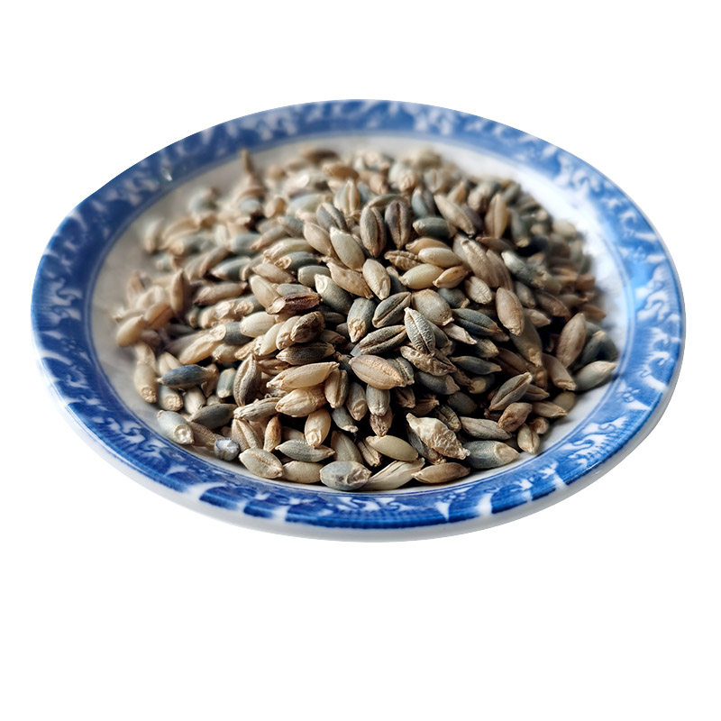 青稞杂粮食用原产高原产带皮稞麦大麦麦米裸麦元其它粮食