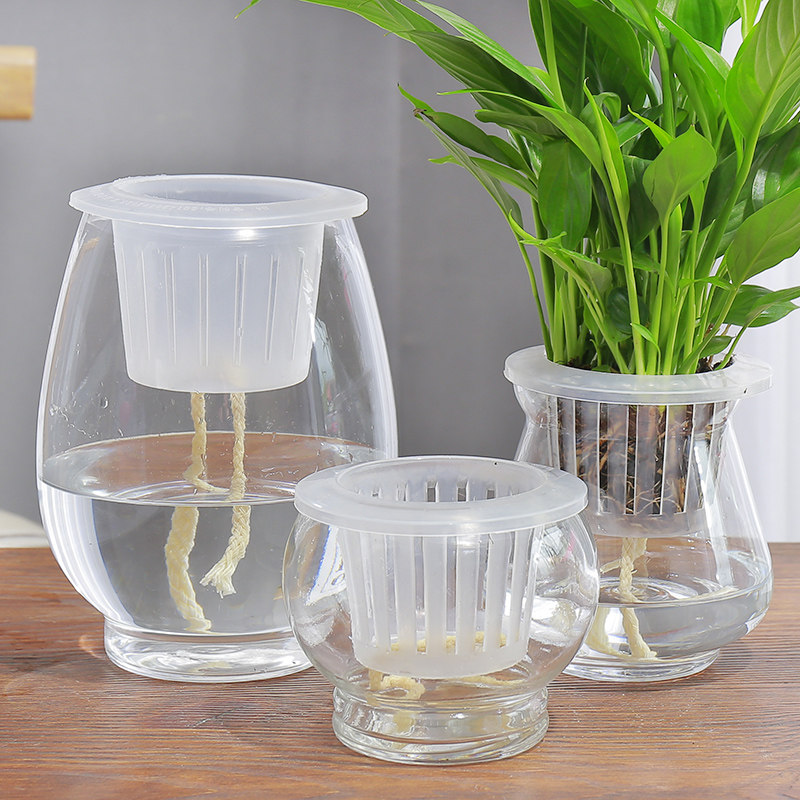 无土栽培玻璃圆球花瓶透明定植养花器皿水养花卉花瓶