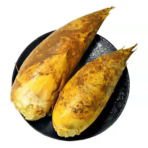 2022深山冬笋新鲜现挖去根毛竹笋黄泥