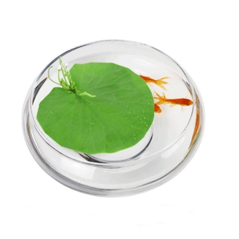 一叶莲玻璃迷你生态客厅创意小型桌面金鱼缸水族箱圆形龟缸微景观
