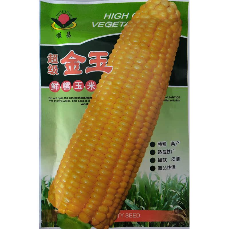 金玉黄色鲜糯玉米种籽四季蔬菜种子包邮春秋家庭园艺种子
