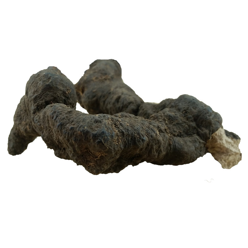 长白山野生猪苓地乌桃东北猪茯苓东北深山野生中药材250g新货包邮