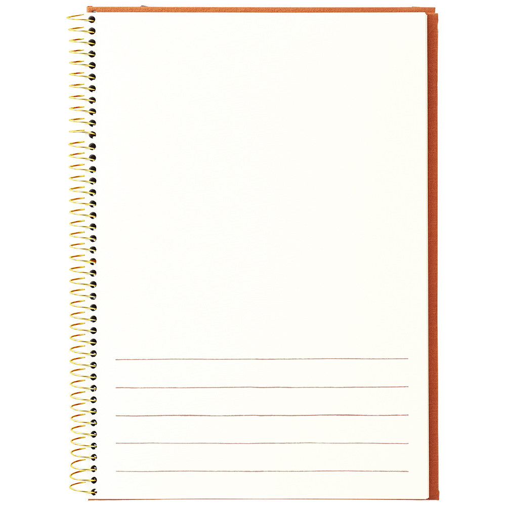 日本记事本手绘水彩帐本携手随身加厚笔记本