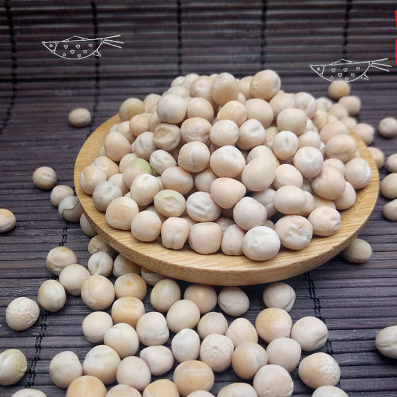 芽苗菜种子豌豆绿豆黄豆爬豆红豆小豆扁豆松柳家庭园艺种子