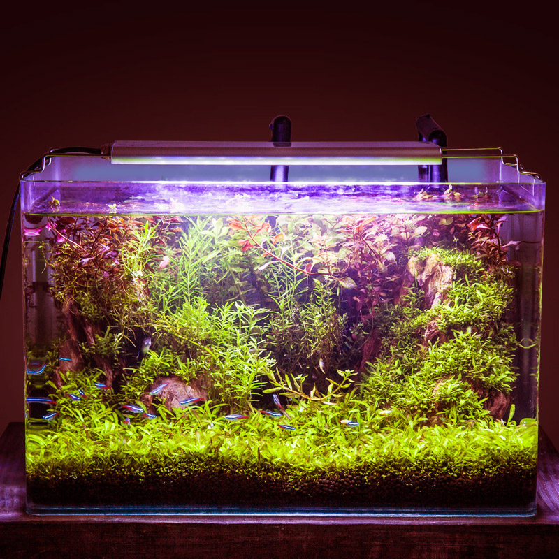 鱼缸照明灯led灯防水超亮水族藻缸灯专业海水草缸灯全光谱水草灯