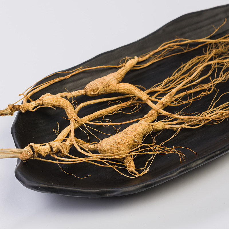 正品野生紫云参整支包邮长白山鲜人参同仁堂官网切片林下参特产