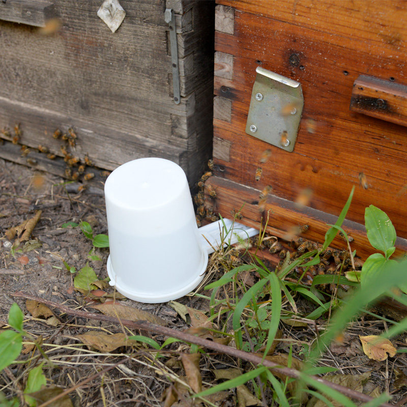 518蜜蜂喂水器蜂箱巢门饲喂器10个装包邮养蜂工具蜜蜂群喂水蜂具
