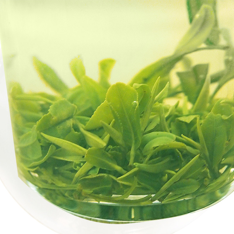 茅山2022口粮茶明前茅青锋绿茶青峰春茶常州其它绿茶