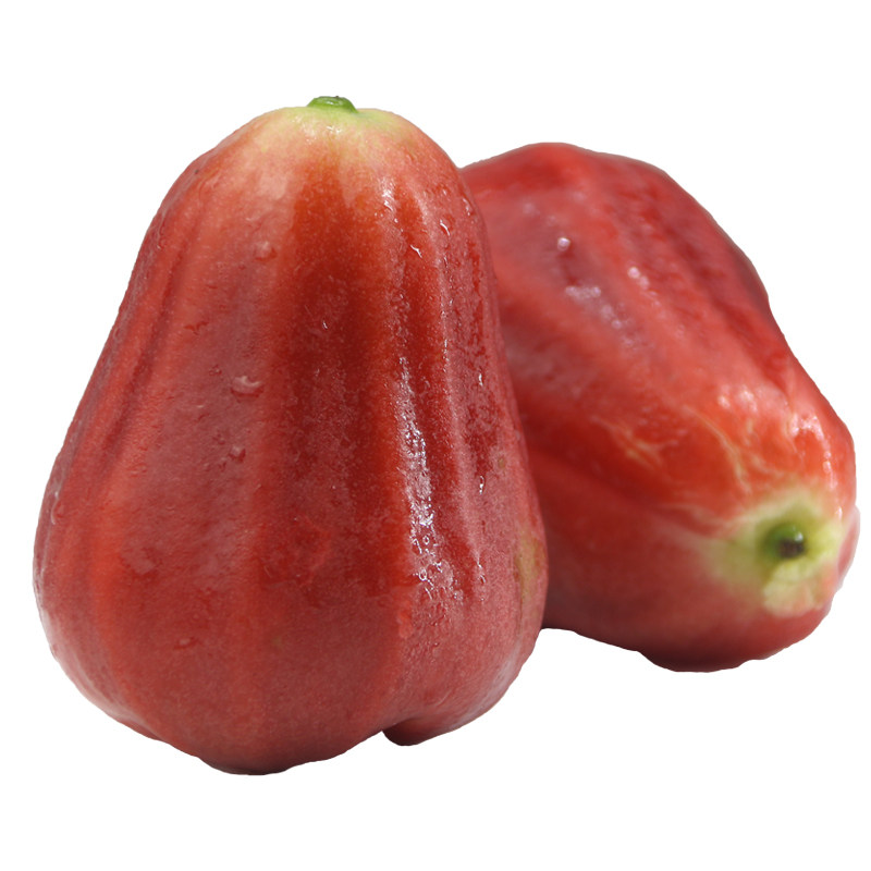 海南三亚黑金刚莲雾够黑够大应季新鲜时令水果莲雾