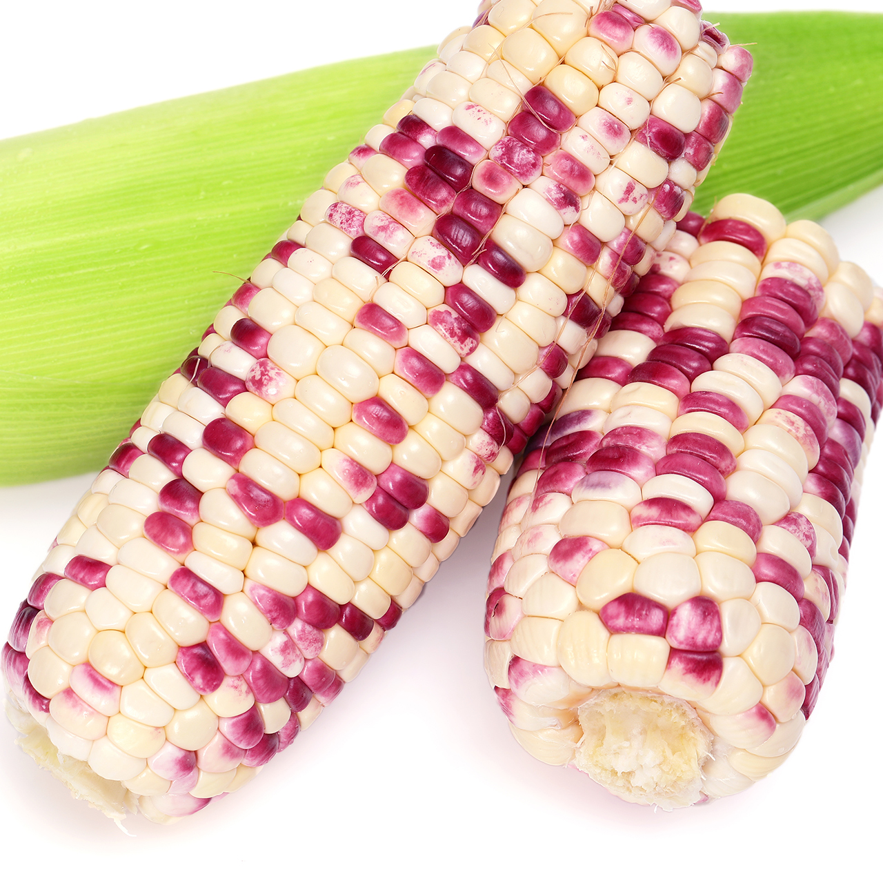 玉米云南花糯9斤新鲜水果甜生玉米棒棒子现摘新鲜玉米