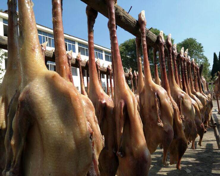 句容茅山特产茅山老鹅咸鹅风干鹅晒干2.5斤送礼公司单位过年福利