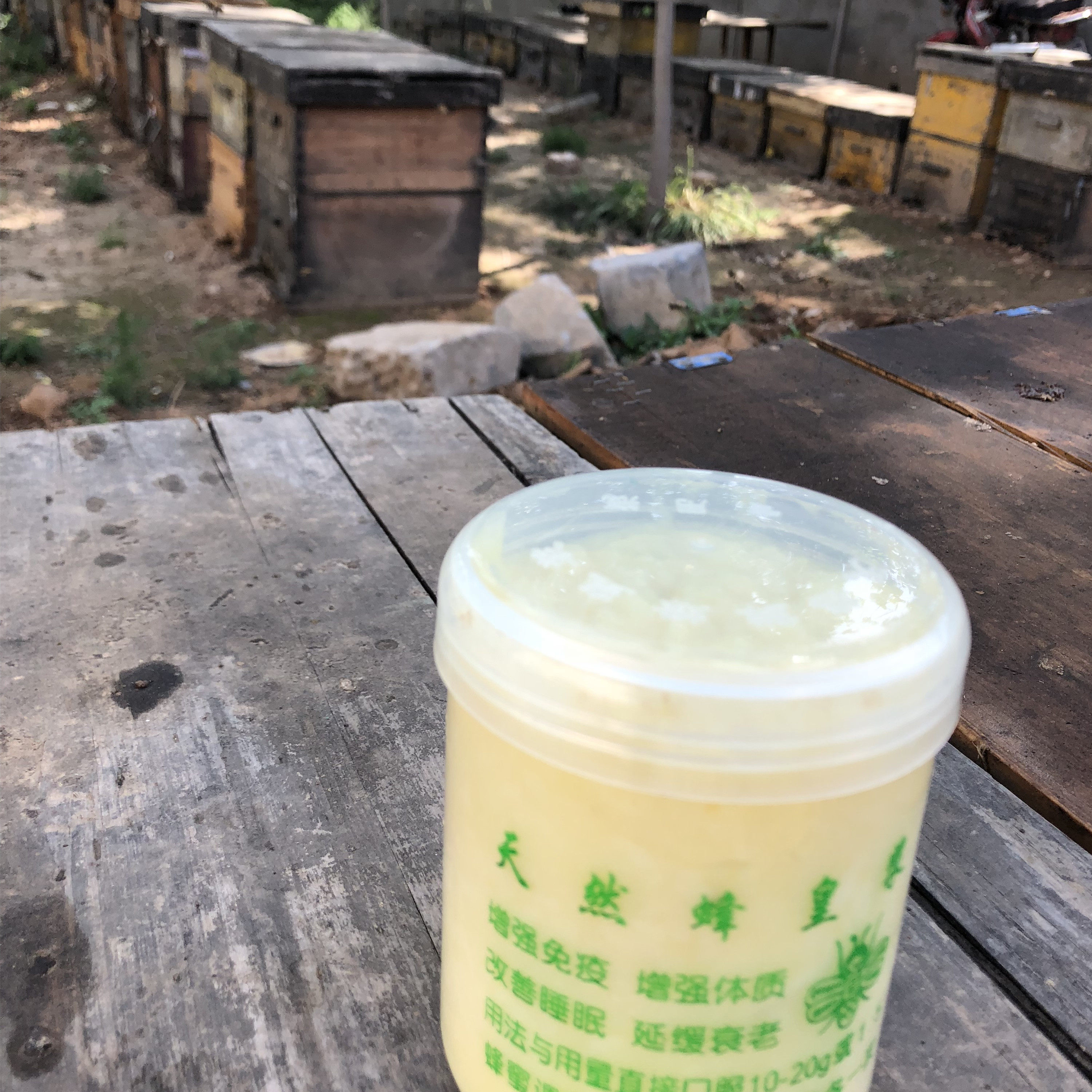 任家蜂业2019年蜜王型蜂皇浆新鲜优质蜂王浆乳500g顺丰包邮