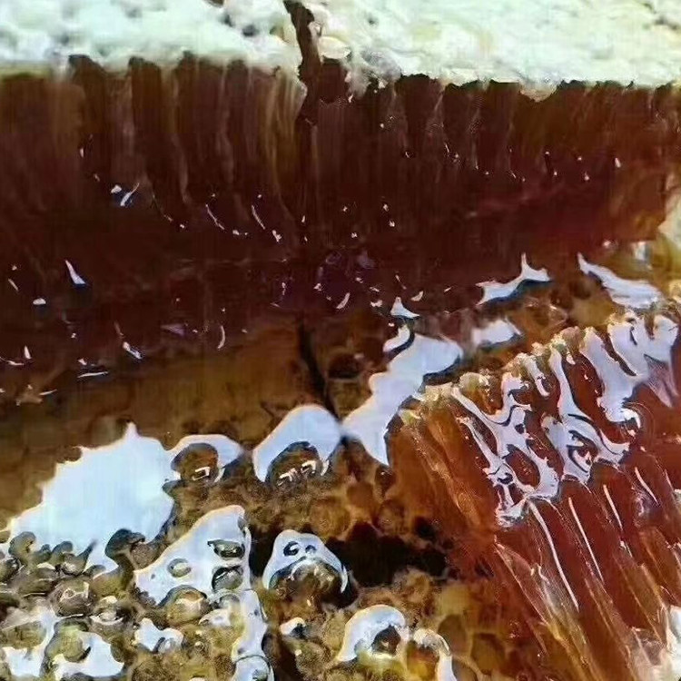 秦岭深山崖正宗纯正野生天然百花蜜结晶成熟中华蜂农家自产土蜂蜜