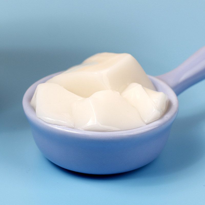 盾皇椰子罐头800g椰浆果冻椰奶奶冻即食海南果冻