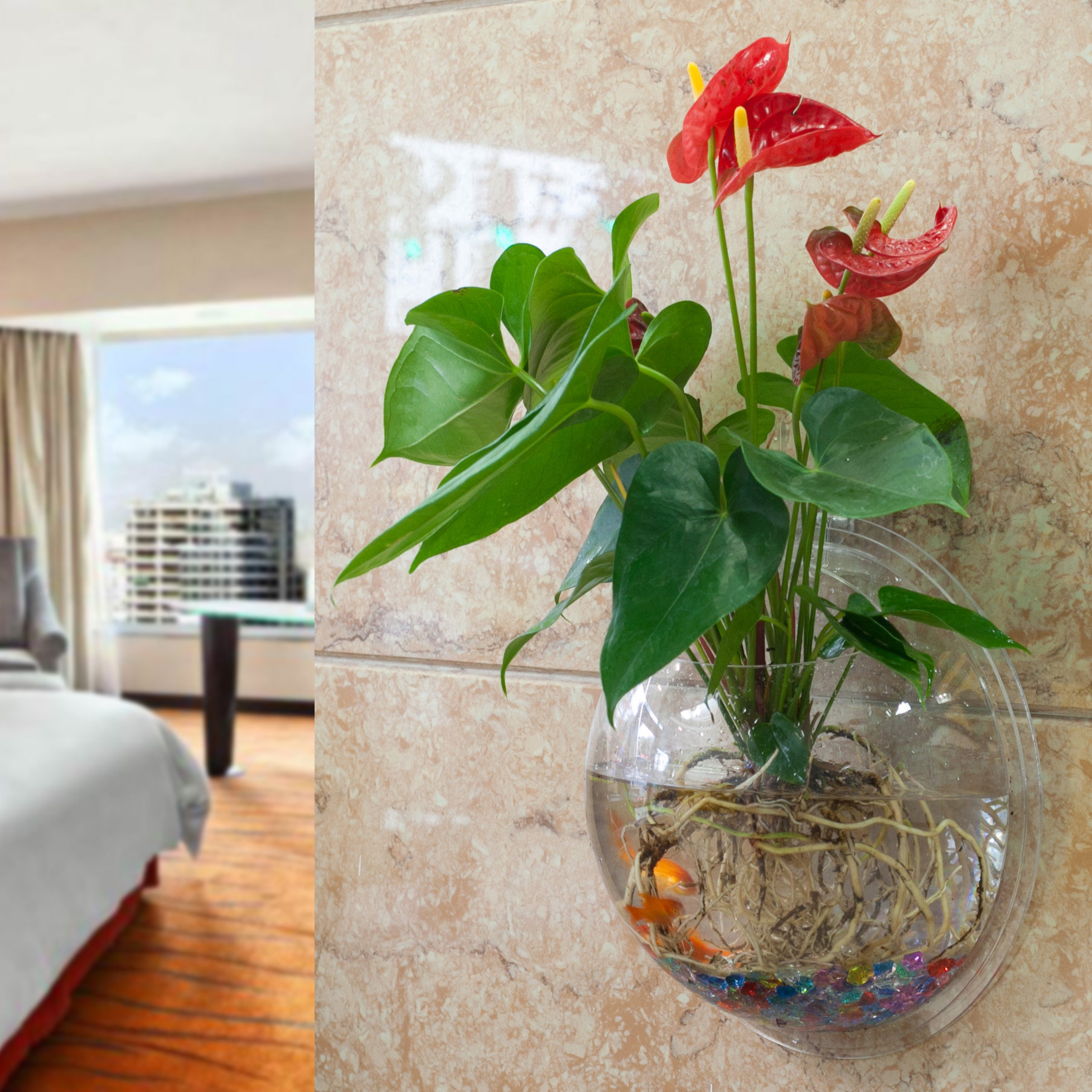 壁挂鱼缸 创意鱼缸水族箱墙面装饰鱼缸迷你小鱼缸亚克力金鱼缸