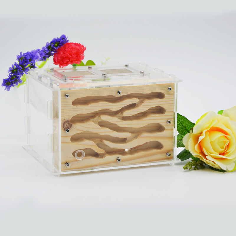 施王蚁亚克力石膏木质蚁巢宠物活体蚂蚁城堡繁殖工坊蚂蚁工坊