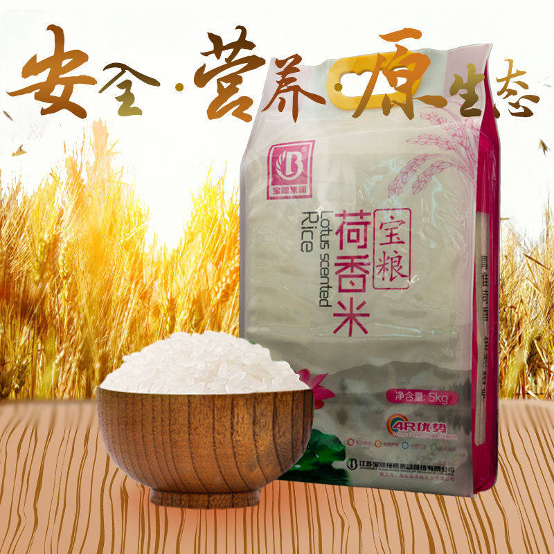 正宗苏北宝应宝粮香米真空大米粳米2021新米大米