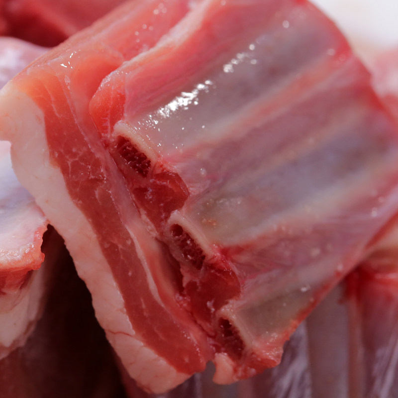 羔羊小羊排块内蒙古锡盟草原新鲜羊肋排羊肉切块生羊排