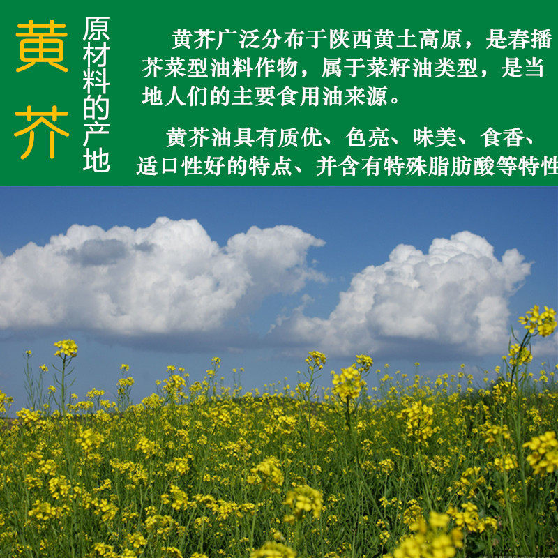 黄芥油陕北油坊压榨黄盖油15l农家自产自销吴起特产其它