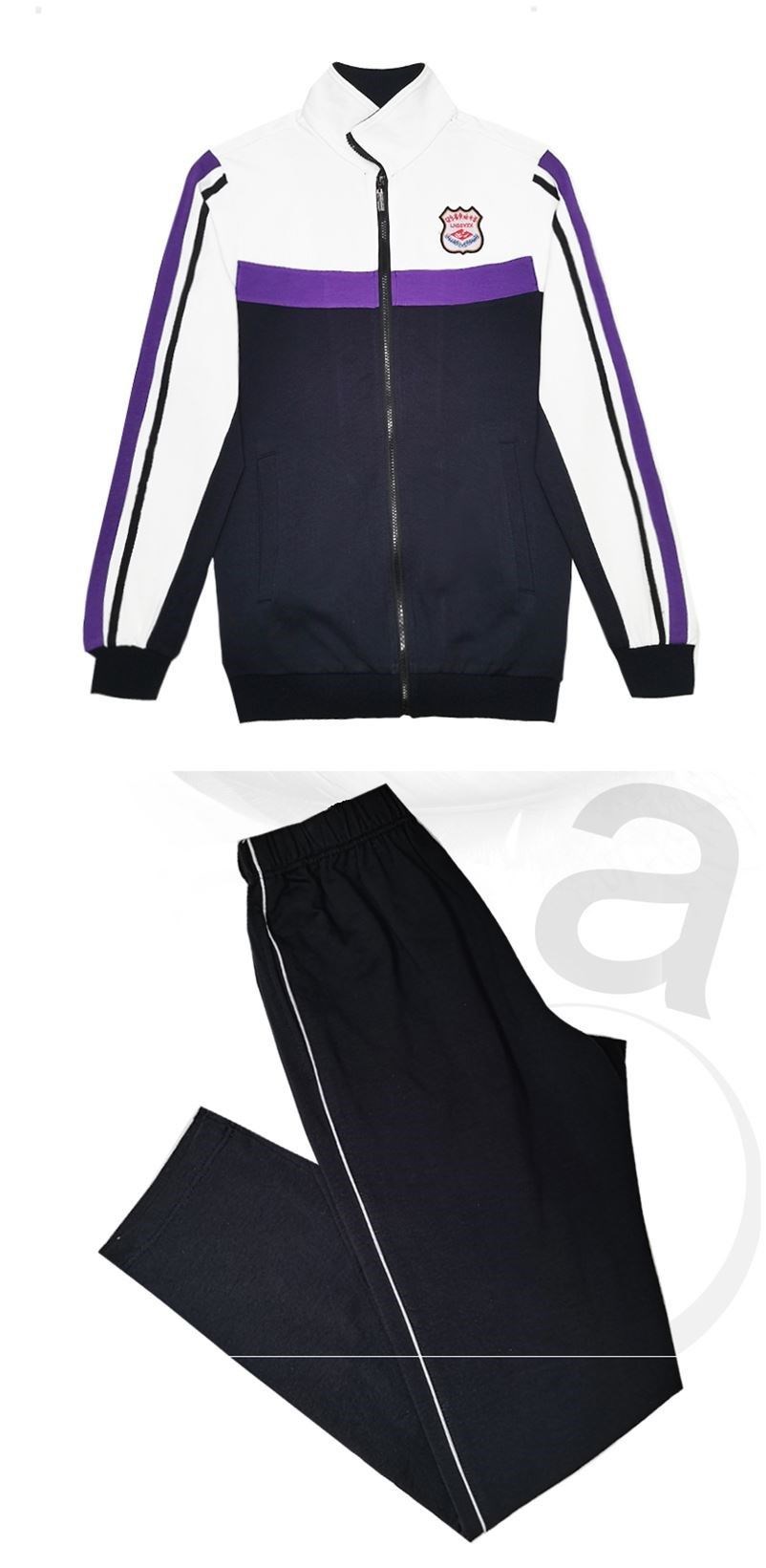 校服沈阳高中套装春秋辽宁省实验中学纯棉两件学生校服