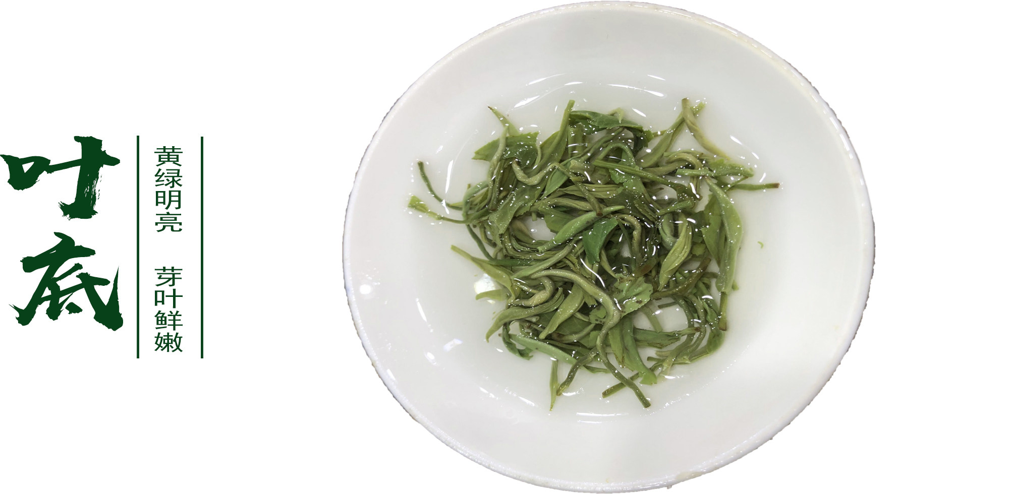 宜兴碧螺2022年春季新茶清香回甘绿茶碧螺春无锡其它绿茶