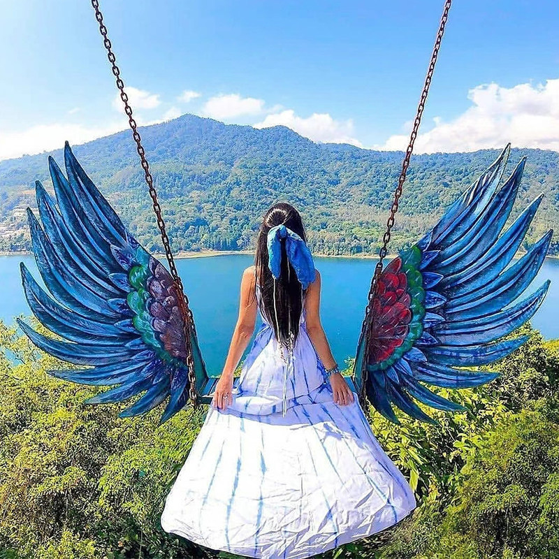 天使之翼创意秋千网红翅膀户外民宿吊椅农庄景区翅膀