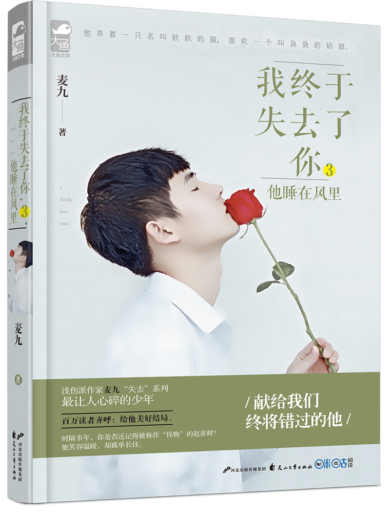 青春正版终将都市暖虐书籍言情小说点燃错过我们青春
