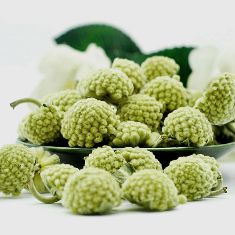 藏草阁西藏野生绿萝花茶一斤装特级绿箩花茶西藏特产