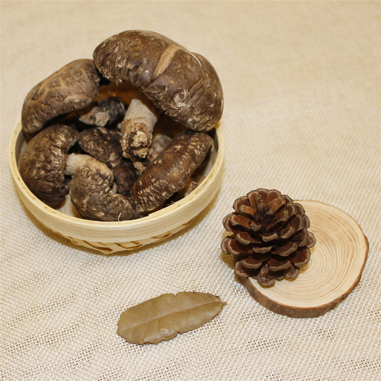 包邮山饕情青川野生椴木小香菇农家散养干货山珍250g每袋