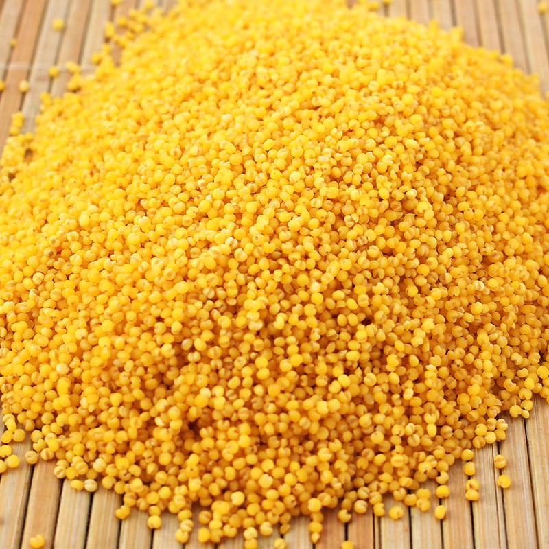 小米乐土土黄新米内蒙古赤峰红谷月子杂粮粗粮小米