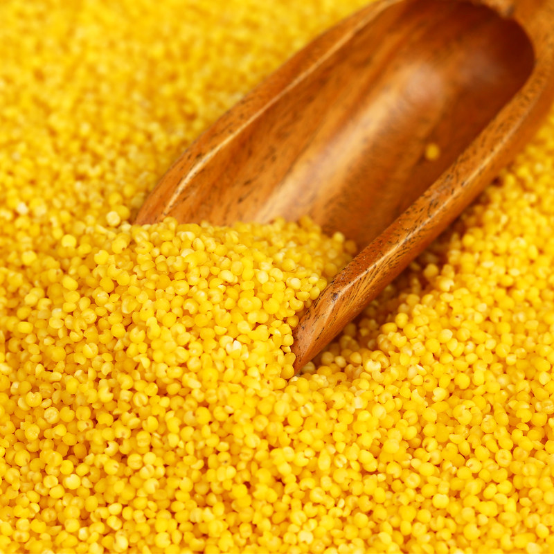 赤峰小米 月子米 450g宝宝专用黄小米 食用新小米 五谷杂粮小米