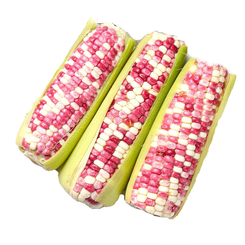 玉米五彩600g玉米粒新鲜精选香甜美味新鲜玉米