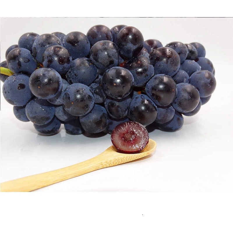黑葡萄500g应季葡萄