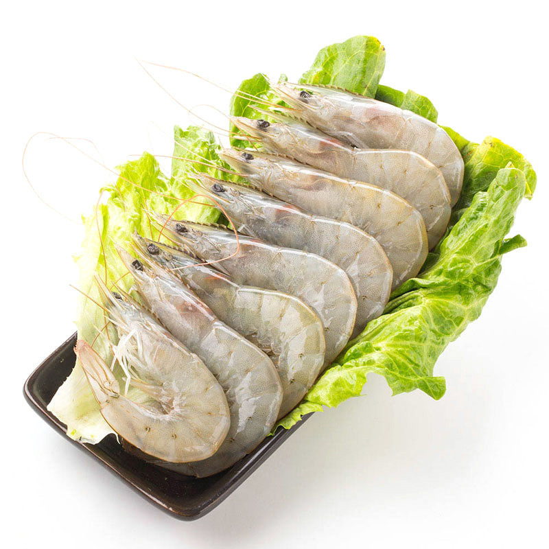 【推荐装】味库活龙虾波士顿龙虾鲜活大龙虾1-10斤特大波龙澳龙