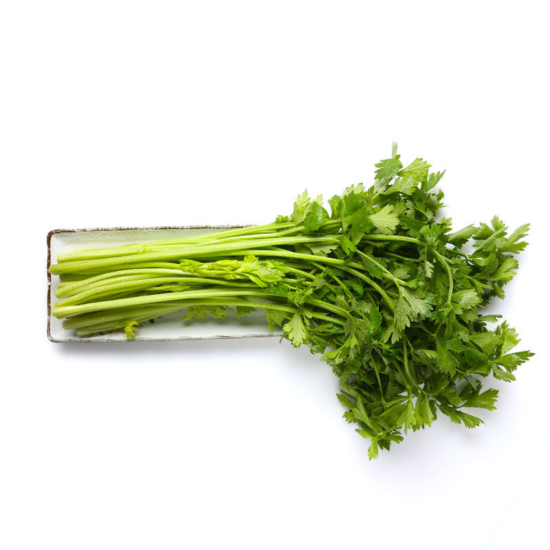 芹菜香芹300g新鲜蔬菜鲜香美味叶菜类