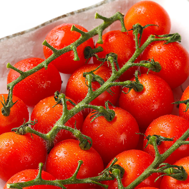 红串小番茄樱桃圣女果200g番茄