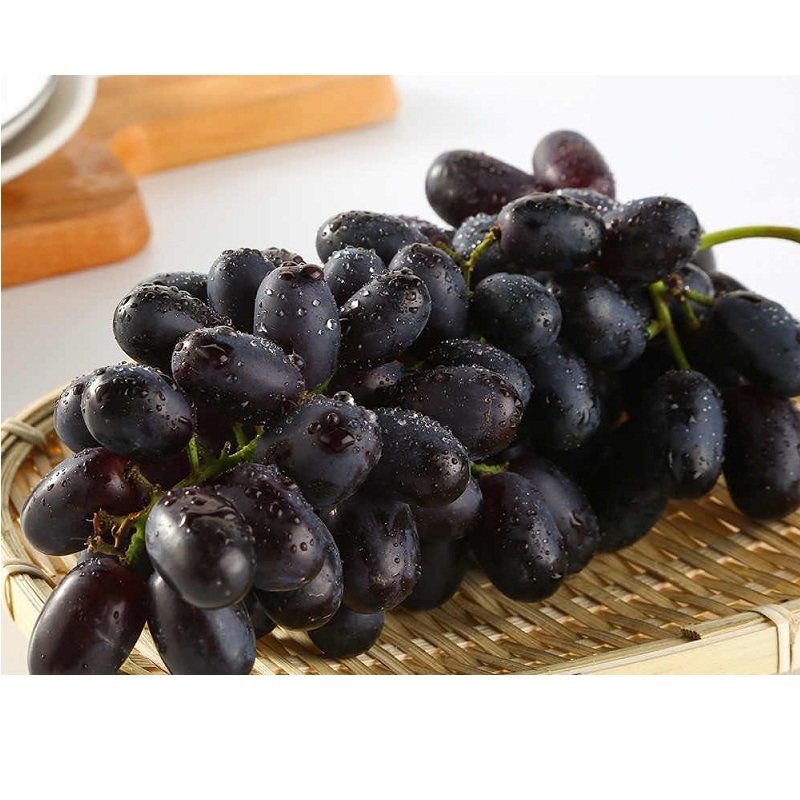 新疆黑加仑500g葡萄果肉紧实清新水润水润美美味葡萄