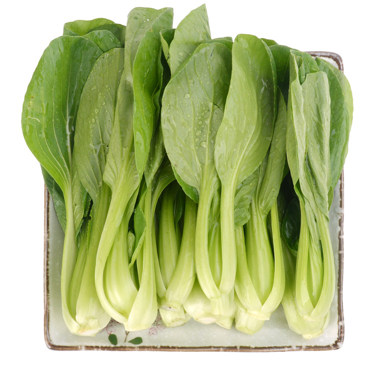 日日上海青苗300g新鲜菜叶鲜嫩蔬菜叶菜类