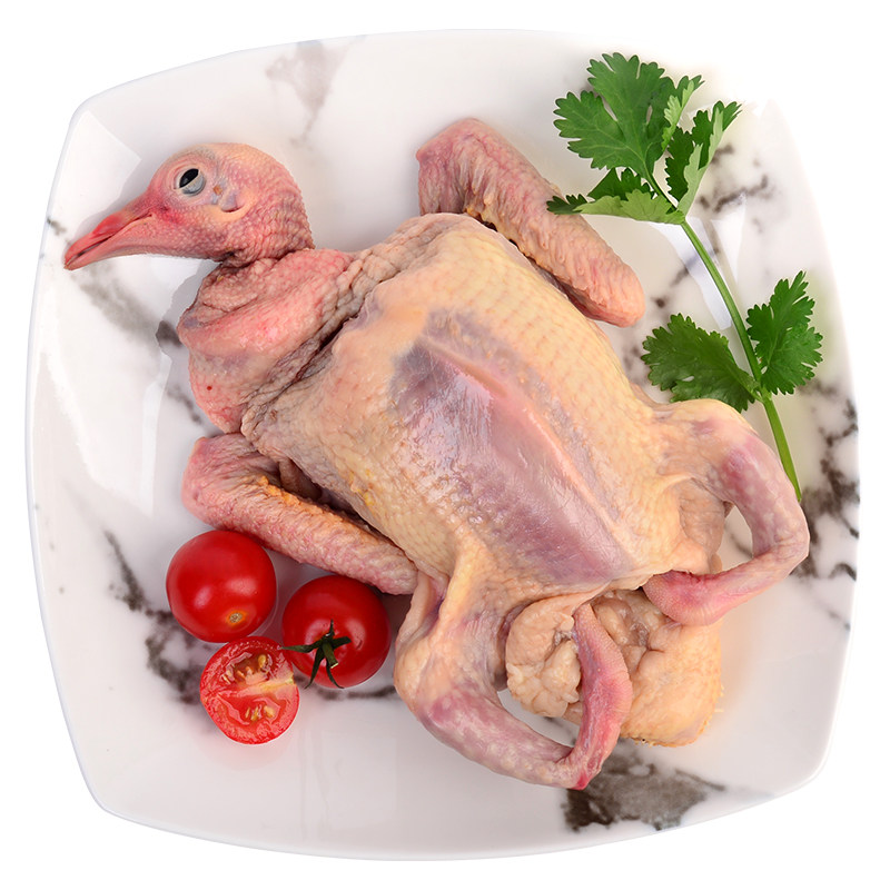 鸽子只约250g冷鲜乳鸽食用食品鲜活调理肉质乳鸽