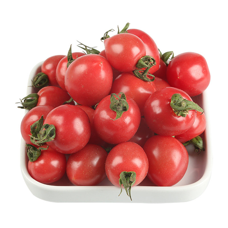 贝贝小番茄樱桃圣女果500g份新鲜鲜果美味时令酸甜可口